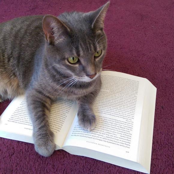 Meet your Posher, Lorel - Picture 1 of 1